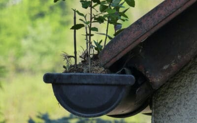 5 Signs Your Gutters Need Cleaning: Protect Your Monroe, NC Home