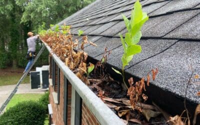 4 Critical Reasons Why You Must Keep Your Gutters Clean